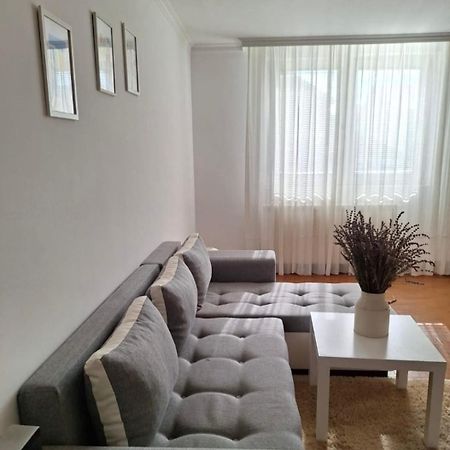 Surcin Apartment Ledine Extérieur photo