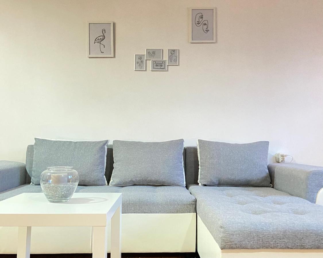 Surcin Apartment Ledine Extérieur photo