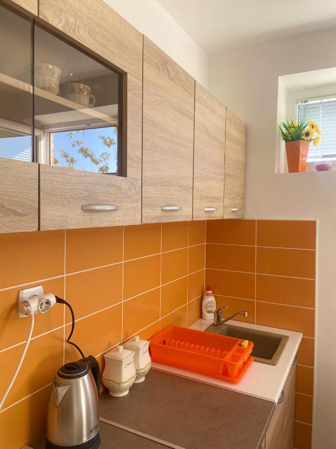 Surcin Apartment Ledine Extérieur photo