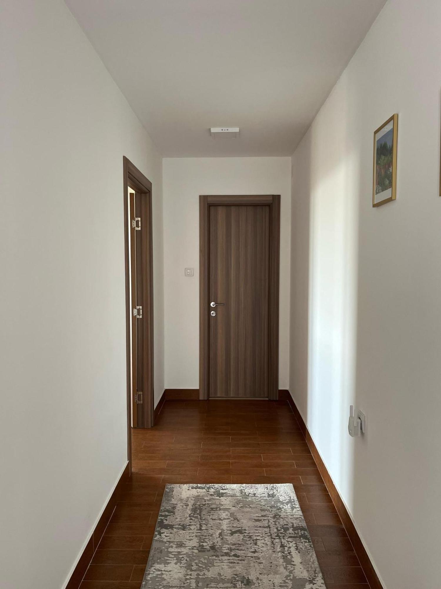 Surcin Apartment Ledine Extérieur photo